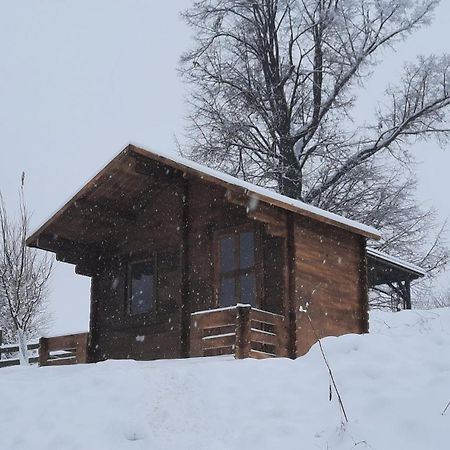 Cottage Bara Božanov Exteriör bild