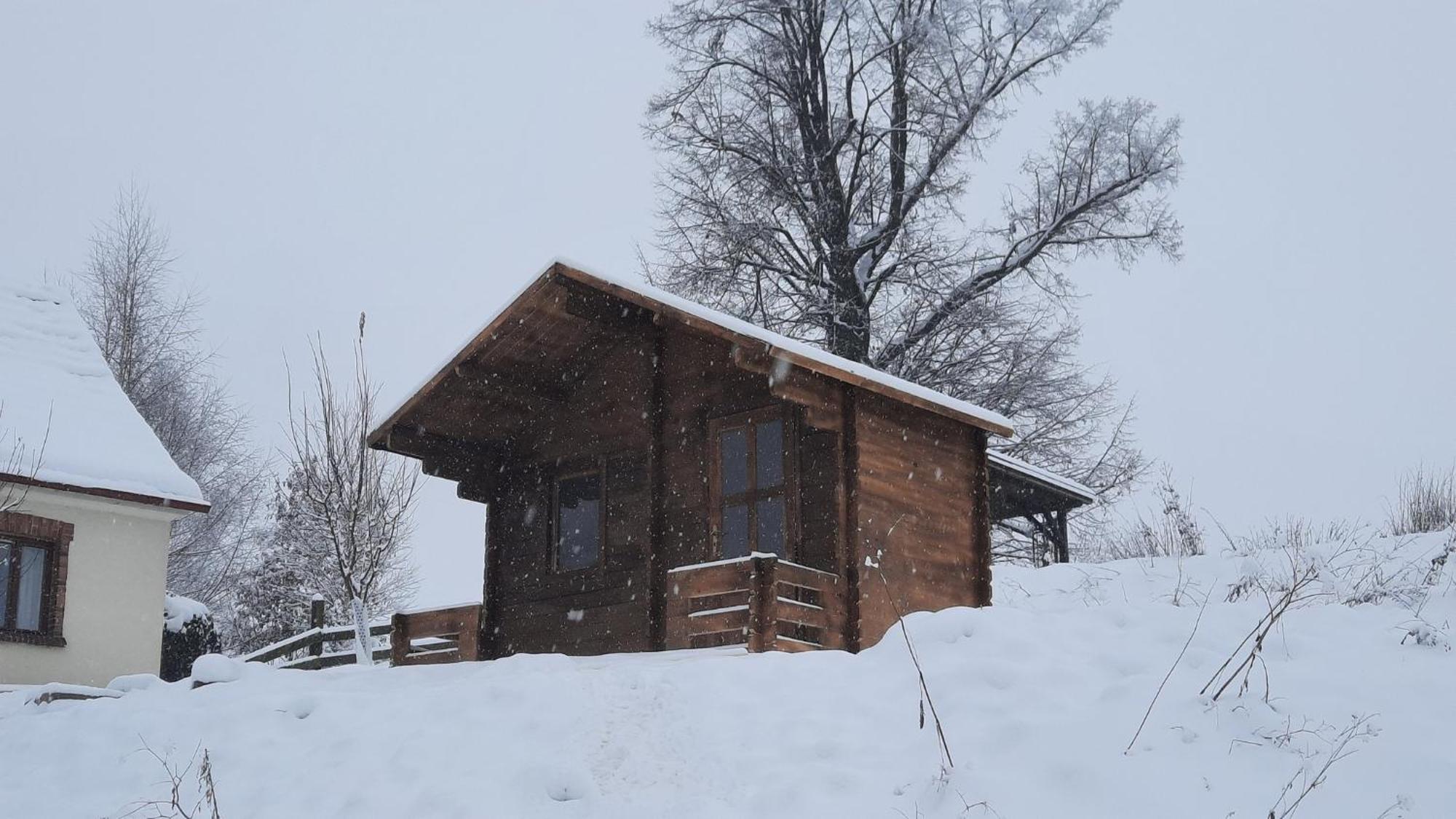 Cottage Bara Božanov Exteriör bild